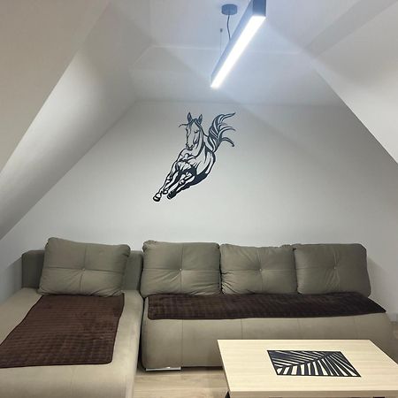 Family Apartmans Harry- Apartmans Of The Apart Hotel & Spa Zoned, Kopaonik - Special Benefit, Children Up To 13 Years Of Age Accompanied By Two Adults Stay For Free-Parking-Breakfast-Pool&Spa Zewnętrze zdjęcie